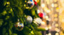10 December 2023 om 14:30 Zingen tussen de Kerstbomen